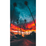 SP3C1Al T3AM