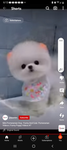 Tate McRae fanclub(ʏᴏᴜ ᴅᴏɴᴛ ʜᴀᴠᴇ ᴛᴏ ʟɪᴋᴇ ᴛᴀᴛᴇ)