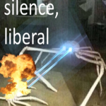 Anti Liberal