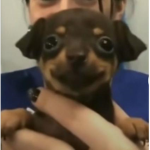 Anto y sus tilines.exe