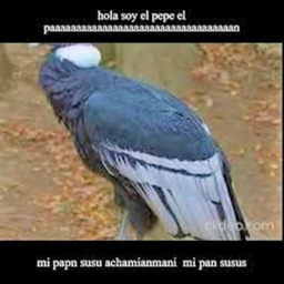 mala