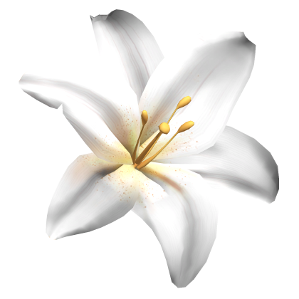 Summer Tropical Lily Flower Hair clip in White