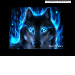 The grey wolf’s