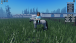 River Bank Equestrian Stable