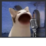 Catmemesbozo