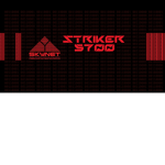 TEAM SKYNET