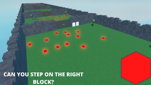 Can you Step On The Right Block?