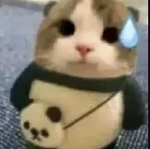 Epic People Gang!