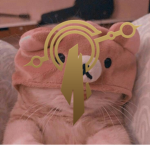 ;; | Targon Catguard
