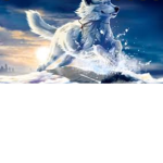 The huskie family pack