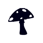 - The Divine Church of Mushrooms -