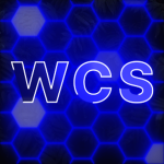 Wacky Clothing Store