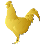 Roblox OFFICAIL studio's