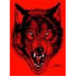 wf wolfpack