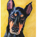 Doberman