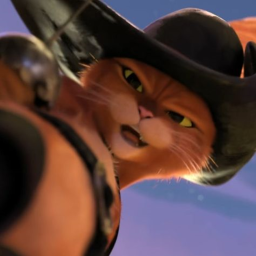 //