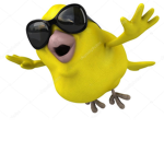 Birds Flocked