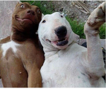 raroyurk i nos ;)