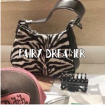 fairy dreamer
