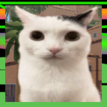 Jermbo cat fanclub EPIC EDITION