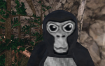 Gorrila_Tag_Friends