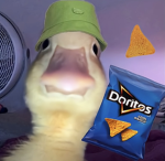 Fortgod23