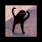 strong kitty cult