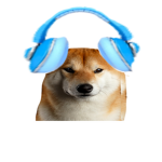 Shiba Inu Studios :)