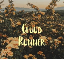 Cloud Runner🦋🦋