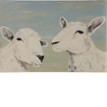 amazing sheeps