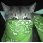 plopthisplop
