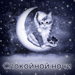I9QJ98KL 40%
