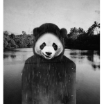 AnonymousRiver Studio