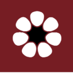 South Entertainment