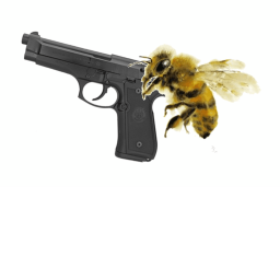Bee War Training