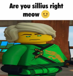 SSNWVCE