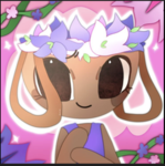 CuteCookiedoe