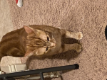Kali fired