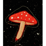 The mushroom elf’s
