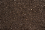 Soil Burger