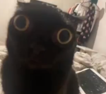 Nonds