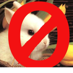The anti bunny's