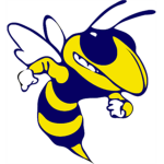 Killer bees 2.0