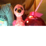 Me and My little Flamingo Squad!!!