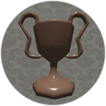 BRONZE BADGE