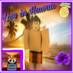 Live in Hawaii