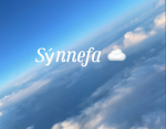 Sýnnefa