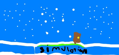 Simulation