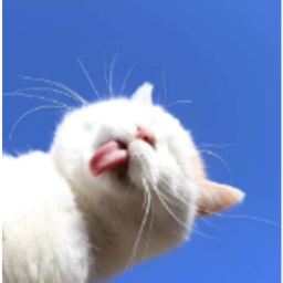 ʚɞ