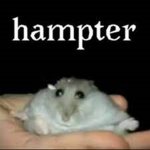 Hampter's games